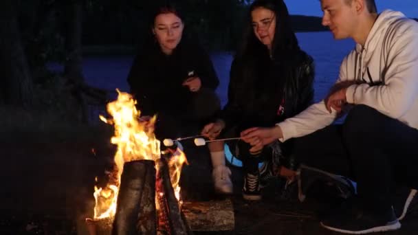 Három Barát Mályvacukrot Főz Éjszaka Tábortűzben — Stock videók