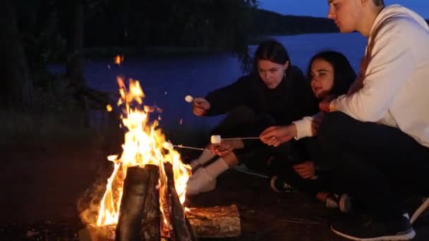 Sekelompok Teman Memasak Marshmallow Atas Api Kamp — Stok Video