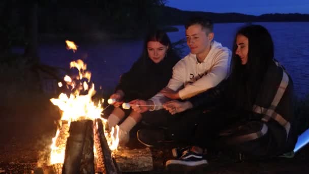 Grup Prieteni Vorbind Mâncând Bezele Noaptea Vară Fața Unui Foc — Videoclip de stoc