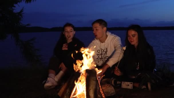 Grup Prieteni Cântând Lângă Foc Tabără Într Noapte Vară Târzie — Videoclip de stoc