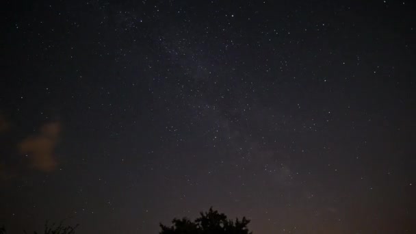 Timelapse Notte Stellata Con Alberi Nuvole — Video Stock