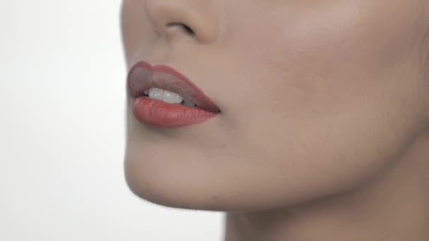 Modelul Glamour Ruj Aplicat Machiaj Artist Industria Cosmetică — Videoclip de stoc