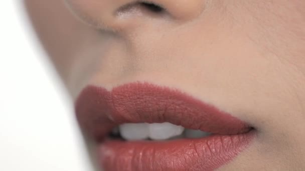 Macro Prise Vue Doublure Rouge Lèvres Étant Appliquée Aux Lèvres — Video