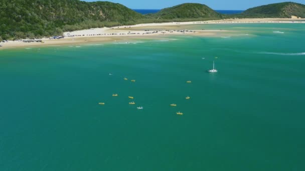 Luchtdrone Flyover Kayakers Peddelen Blauwe Oceaan Bij Sandy Beach Shore — Stockvideo