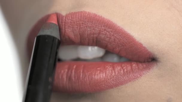 아티스트의 매크로 Shaping Lush Lips Lipstick Crayon — 비디오