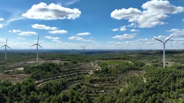 Coll Moro Nun Spanya Daki Rüzgar Çiftliği Güç Teknolojisinin Geniş — Stok video