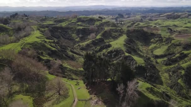 Piękny Krajobraz Lotniczy Nowej Zelandii Malowniczej Hodowli Śródlądowej Pastwisk Wyspie — Wideo stockowe