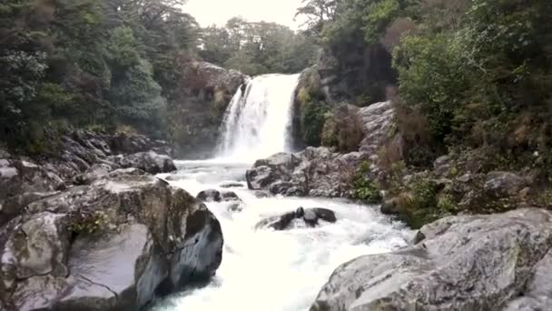 Hermosa Vista General Del Dron Gollum Pool Tawhai Falls Nueva — Vídeos de Stock