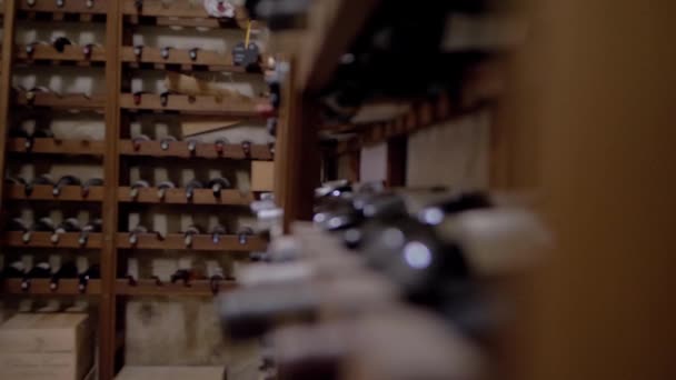 Interior Wine Cellar Shelves Vintage Collection Rack Focus Shot — Stock Video
