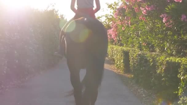 Slowmotion Rising Shot Multiple Riders Out Walk Horses — Stock Video