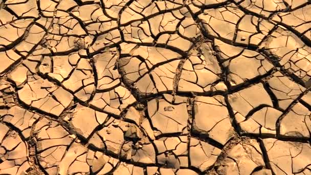 Detalhe Textura Padrão Rachaduras Solo Seco Seca Deserto Árido — Vídeo de Stock