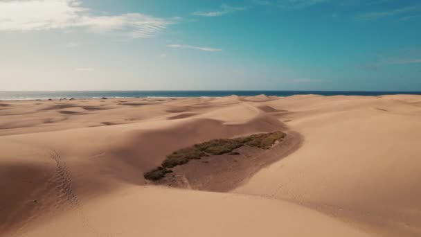 Aerial Scenic Maspalomas Coastal Dunes Gran Canaria Las Palmas — Vídeos de Stock