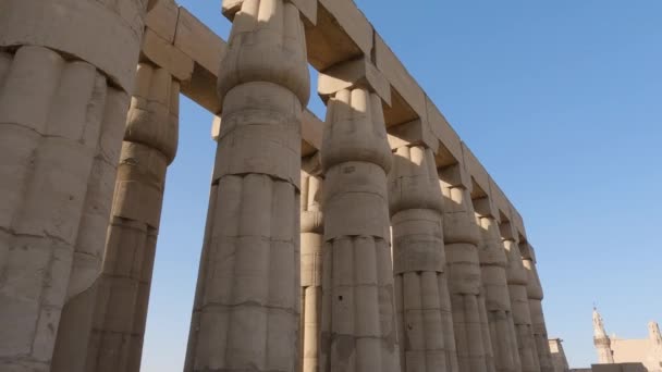 룩소르 건물에 위선적 기둥들 이집트 의유적 — 비디오
