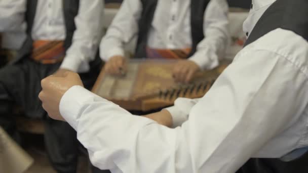 哈普洛斯博物馆的模特们 男人们穿着传统的服装 弹奏着Qanun乐器 — 图库视频影像