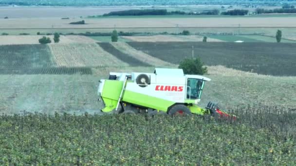 Ανίχνευση Της Συγκομιδής Claas Harvester Στο Πεδίο Στη Γερμανία — Αρχείο Βίντεο