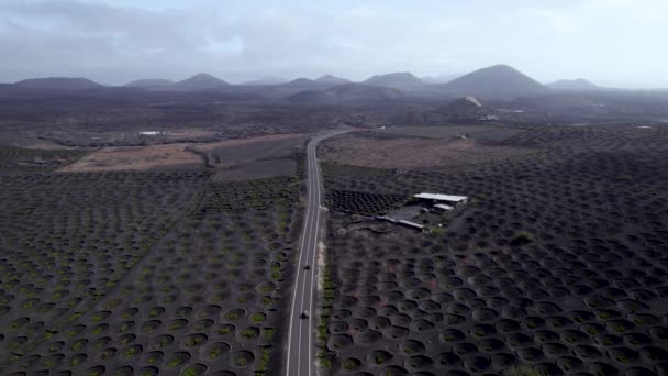 Letecký Pohled Sopečné Vinice Krátery Sopky Lanzarote — Stock video