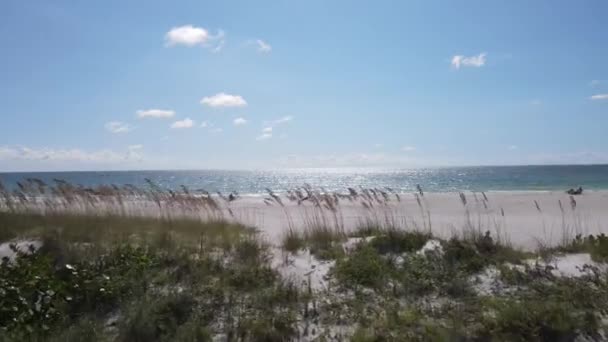 フロリダ湾の海の草と波と湾の景色 ドローン映像 — ストック動画
