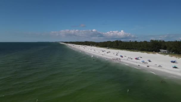 Plaża Coquina Longboat Key Floryda — Wideo stockowe