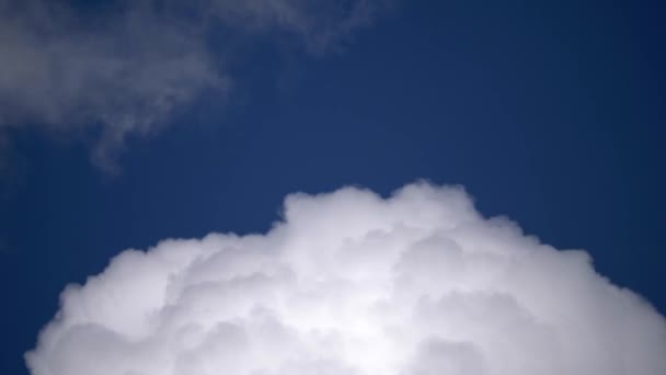 Белые Облака Фоне Голубого Неба Заткнувшись Статично — стоковое видео