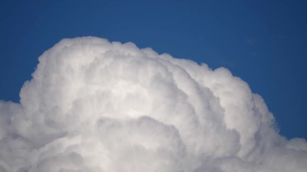 Primer Plano Nube Cúmulos Blancos Fondo Azul Del Cielo Estático — Vídeos de Stock