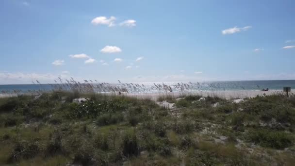 Florida Vista Golfo Con Erba Mare Drone Filmato — Video Stock