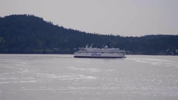 Ferry Sea Misty Day Ferries Sailing Ocean Wide — Stock Video