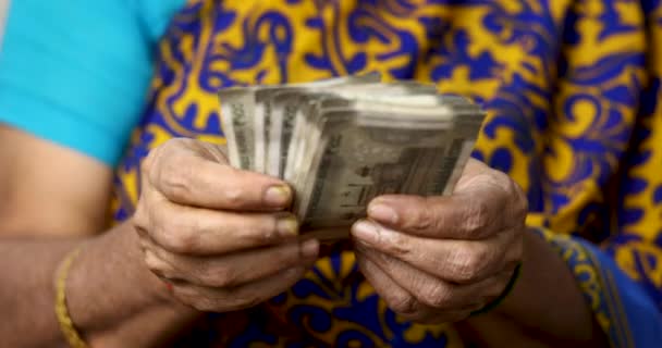 Una Mujer Lleva Saree Cuenta Manualmente Paquete Billetes 500 Rupias — Vídeos de Stock