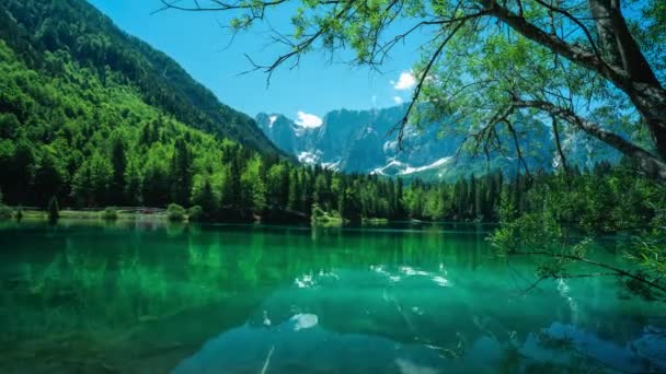 Lago Fusine Pristine Setting Surrounded Mountains Forest Timelapse — Stock Video