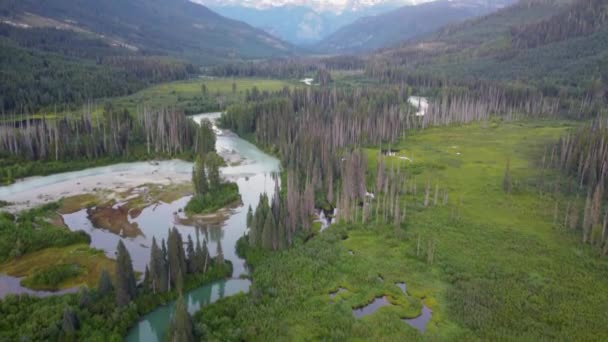 有沼泽地的索河和有山地景观的绕流背景太平洋山脉彭伯顿草原加拿大不列颠哥伦比亚省4K — 图库视频影像