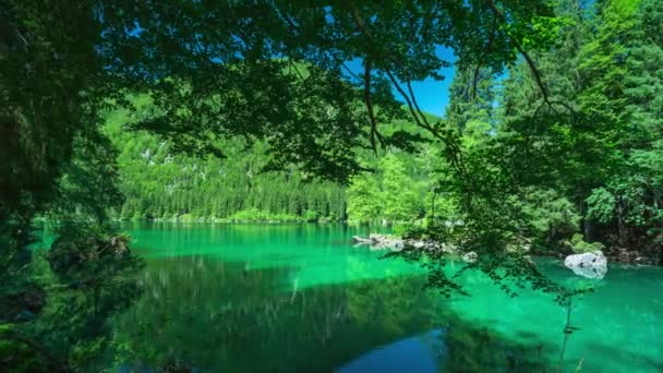Klidné Prostředí Lago Fusine Ledovcové Jezero Svěží Les Časový Odstup — Stock video