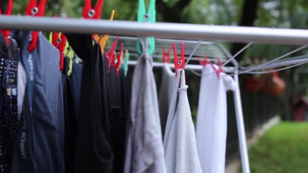 Κλείσιμο Της Εξάπλωσης Πλυντήρια Έξω Για Στεγνώσει Στο Πράσινο Περιβάλλον — Αρχείο Βίντεο