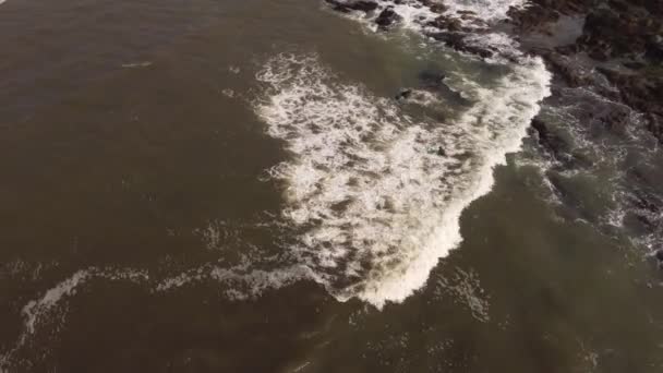 サーフィンのための海の冷たい水に入るプロサーファーのドローンショット — ストック動画