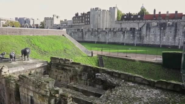 Ruiny Zamku Posąg Trzech Lwów Starożytnej Twierdzy Tower Londynie Anglia — Wideo stockowe