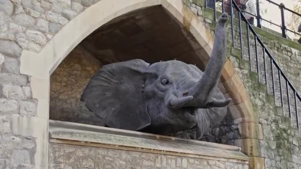 Rzeźba Zwierzęca Głowy Słonia Starym Zoo Tower London Anglia — Wideo stockowe