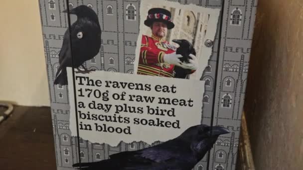 Tower London Tabliczka Informacyjna Krukach Codziennie Jedzących Porcje Widok Bliska — Wideo stockowe