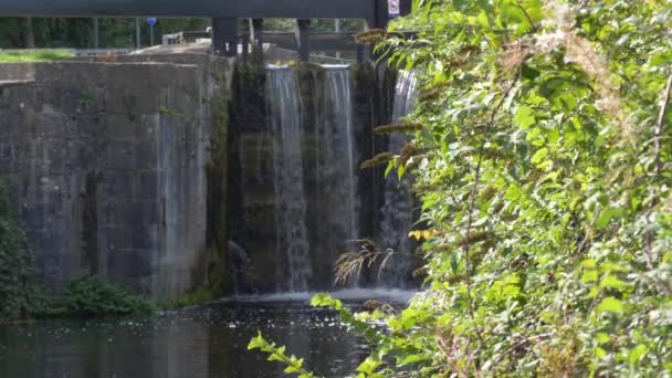 Old Sluice Gate Dublin Canal Ireland Widok Zielonymi Roślinami Letni — Wideo stockowe