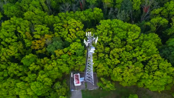 Aérea Orbital Una Torre Comunicaciones Medio Árboles Forestales — Vídeo de stock