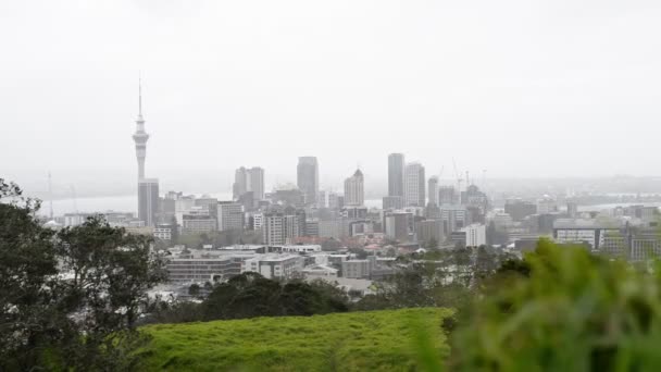 Auckland Gökdelenlerinin Statik Görüntüleri Gri Rüzgarlı Bir Bahar Gününde Eden — Stok video
