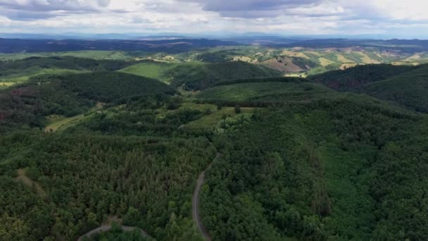 Hungary Yaz Mevsiminde Hava Manzaralı Orman — Stok video