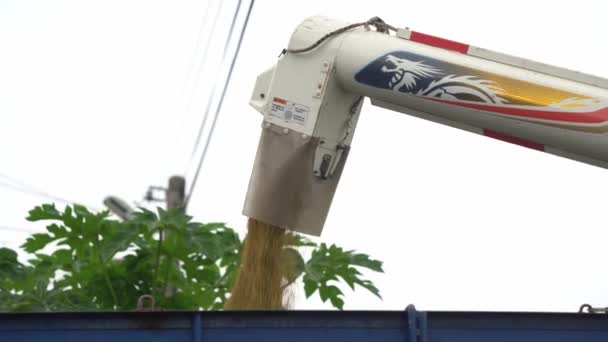Handheld Motion Close Shot Combine Harvester Unloading Rice Crops Truck — Stock Video