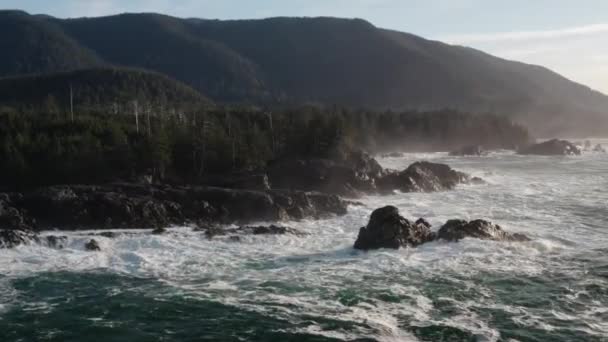 Strzał Drona Uderzający Linię Brzegową Wschodzie Słońca Wyspie Vancouver Kolumbia — Wideo stockowe