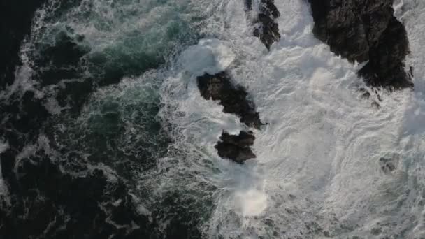 Strzał Drona Uderzający Skałę Wyspie Vancouver Kolumbia Brytyjska — Wideo stockowe