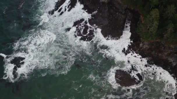Oceanul Pacific Întâlnește Stâncile Din Insula Vancouver Columbia Britanică — Videoclip de stoc