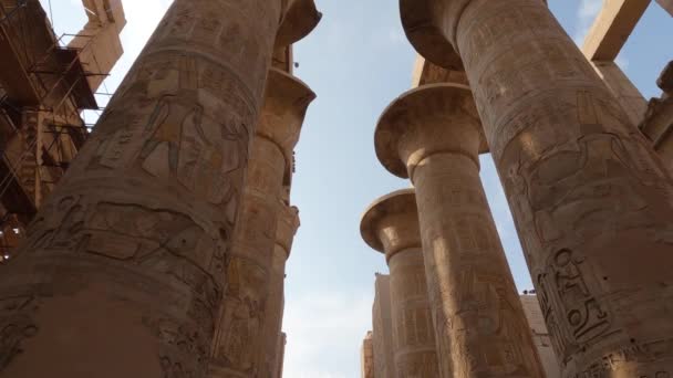 エジプトのカルナック神殿複合体で複雑な彫刻された砂岩列を検索するパンダウンビュー — ストック動画