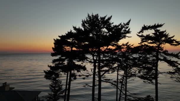 Aerial View Silhouetted Trees Overlooking Pacific Ocean Sunset — Stock Video