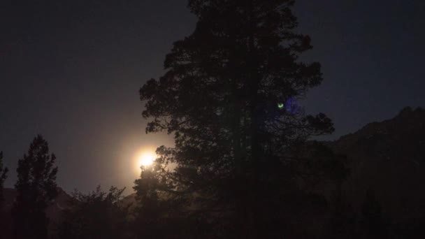 Timelapse Full Moon Pasando Detrás Del Árbol Brillando Como Sol — Vídeos de Stock