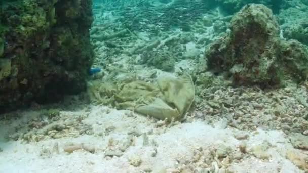 Выброшенный Мусор Коралловом Рифе Загрязнение Моря Концепция Очистки Океана Водой — стоковое видео