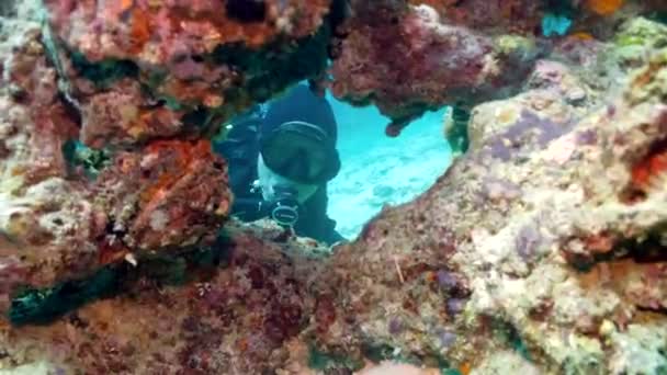 Búvár Kukucskál Kemény Korallokon Zátonyon Víz Alatt — Stock videók