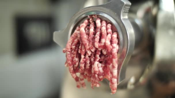 Close Minced Meat Processed Grinder Machine — Stock Video