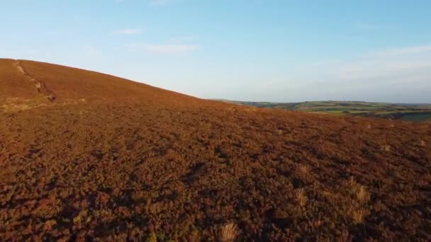 高速日没空中ドローン映像 オランダ北部デヴォン州の緑の丘陵地帯を明らかに — ストック動画